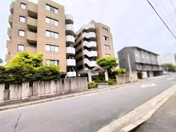 グレーシィ一条