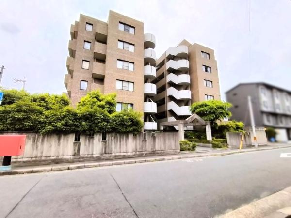 グレーシィ一条