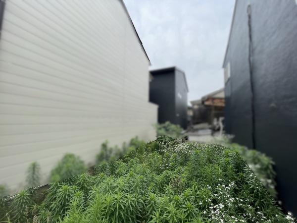 京都市上京区今小路通御前通西入上る観音寺門前町の土地
