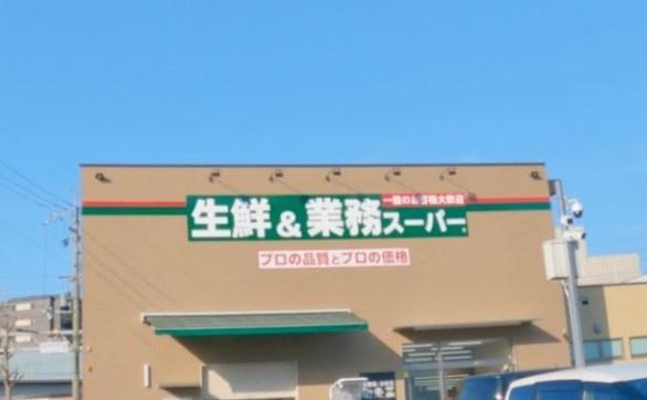 山科ハイツ(業務スーパー山科東野店)