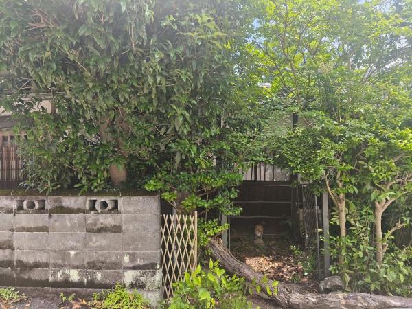 京都市山科区日ノ岡夷谷町の土地