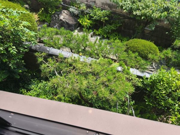京都市伏見区深草願成町の中古一戸建て