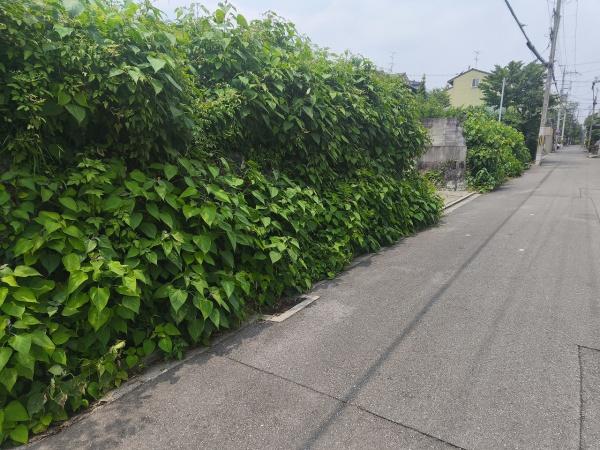 京都市左京区岡崎真如堂前町の土地