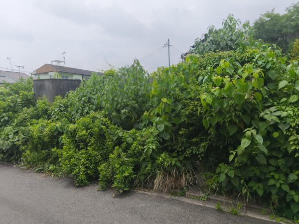 京都市左京区岡崎真如堂前町の土地