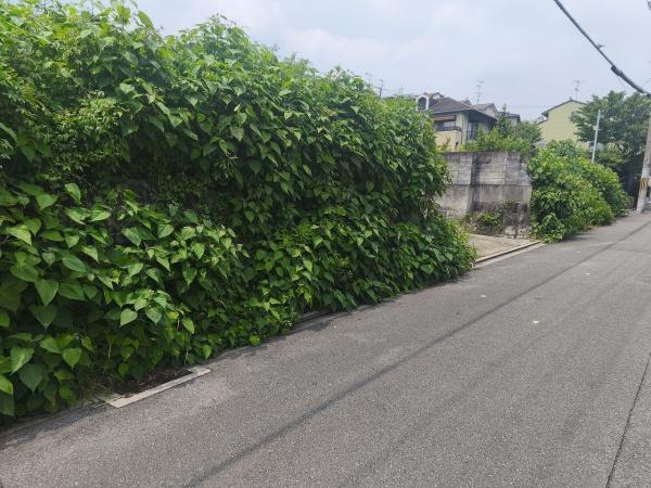 京都市左京区岡崎真如堂前町の土地