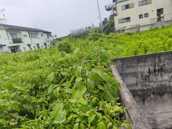 京都市左京区岡崎真如堂前町の土地