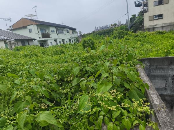 京都市左京区岡崎真如堂前町の土地