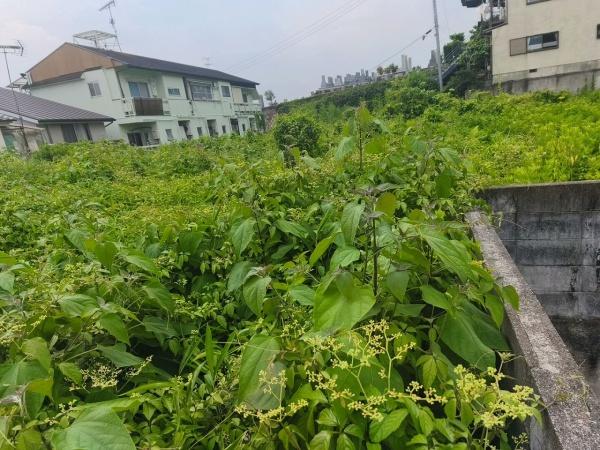 京都市左京区岡崎真如堂前町の土地