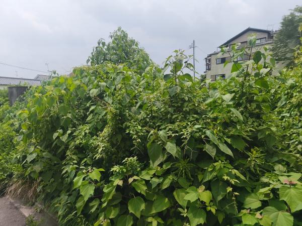 京都市左京区岡崎真如堂前町の土地