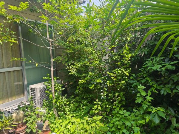 京都市伏見区西大手町の土地