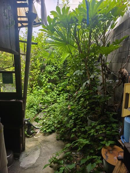 京都市伏見区西大手町の土地