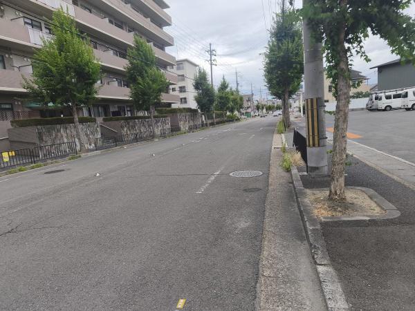 ルネス・ピース醍醐