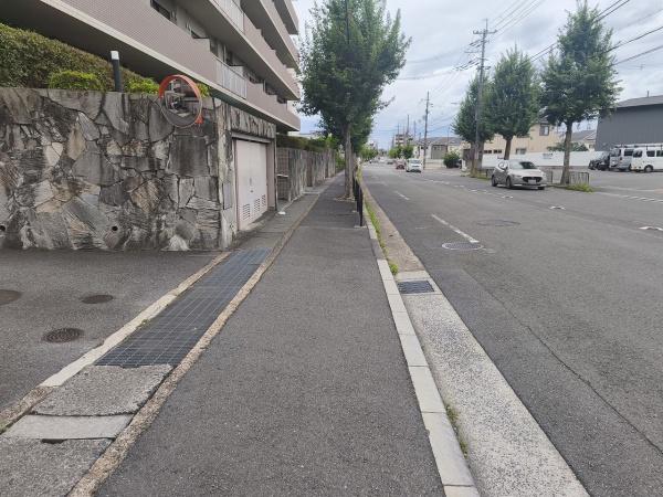 ルネス・ピース醍醐
