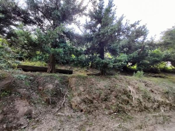 京都市左京区岩倉上蔵町の土地(現地土地写真)