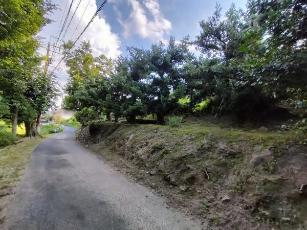 京都市左京区岩倉上蔵町の土地(前面道路含む現地写真)