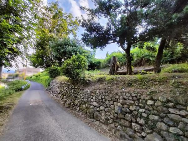 京都市左京区岩倉上蔵町の土地(前面道路含む現地写真)