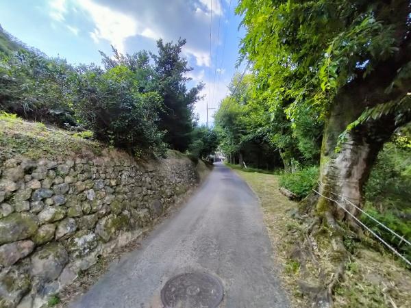 京都市左京区岩倉上蔵町の土地(前面道路含む現地写真)