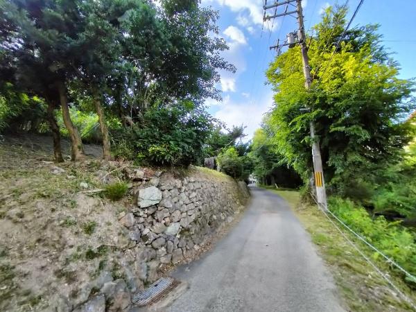 京都市左京区岩倉上蔵町の土地(前面道路含む現地写真)