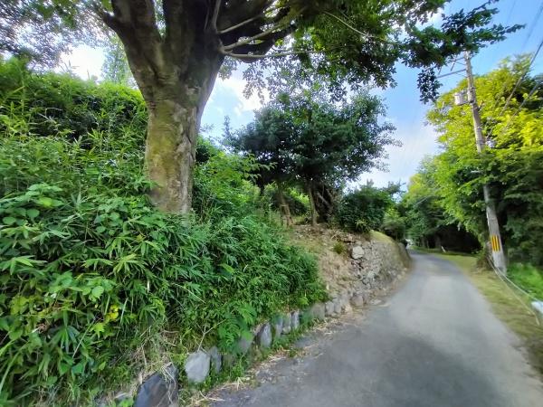 京都市左京区岩倉上蔵町の土地(前面道路含む現地写真)