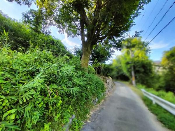 京都市左京区岩倉上蔵町の土地(前面道路含む現地写真)