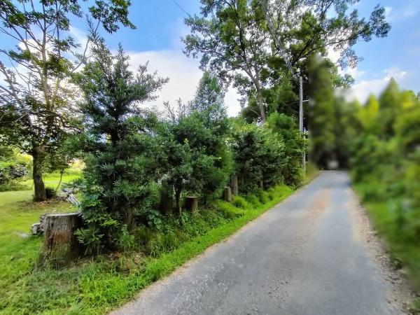 京都市左京区岩倉上蔵町の土地(前面道路含む現地写真)