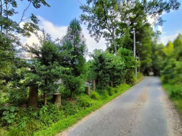 京都市左京区岩倉上蔵町の土地(前面道路含む現地写真)