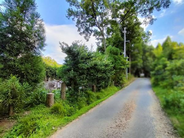 京都市左京区岩倉上蔵町の土地(前面道路含む現地写真)