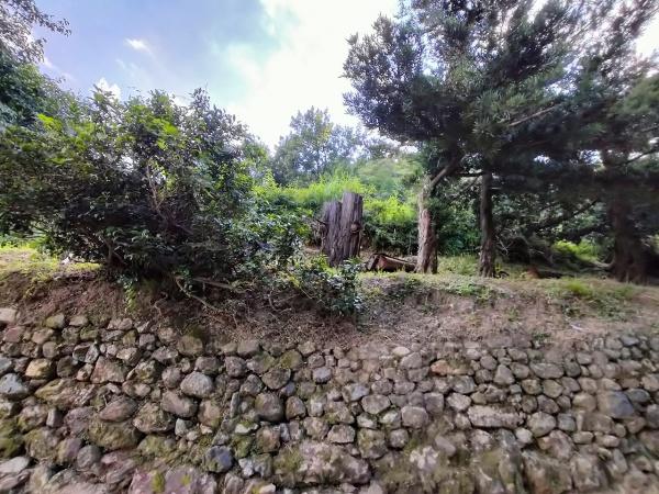 京都市左京区岩倉上蔵町の土地(現地土地写真)