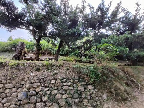 京都市左京区岩倉上蔵町の土地(現地土地写真)