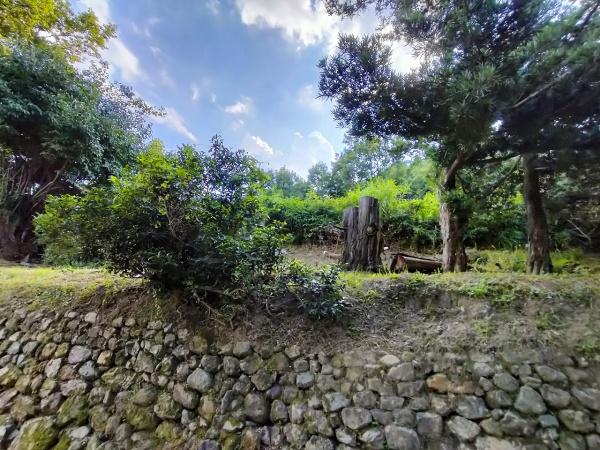 京都市左京区岩倉上蔵町の土地(現地土地写真)