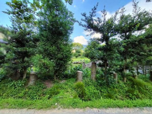 京都市左京区岩倉上蔵町の土地(現地土地写真)