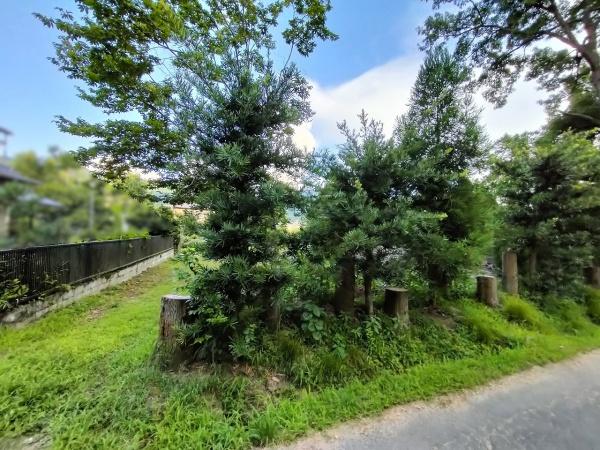 京都市左京区岩倉上蔵町の土地(現地土地写真)