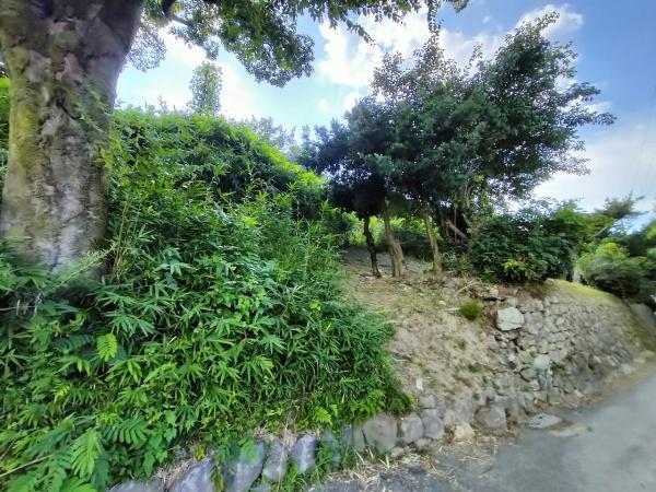 京都市左京区岩倉上蔵町　建築条件無売土地