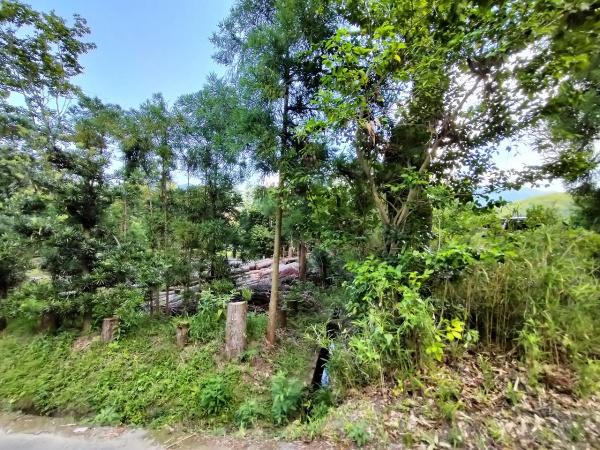 京都市左京区岩倉上蔵町　建築条件無売土地