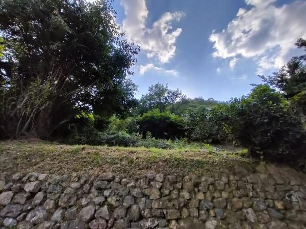 京都市左京区岩倉上蔵町の土地(現地土地写真)