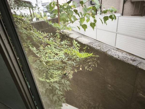 京都市山科区厨子奥矢倉町の中古一戸建て