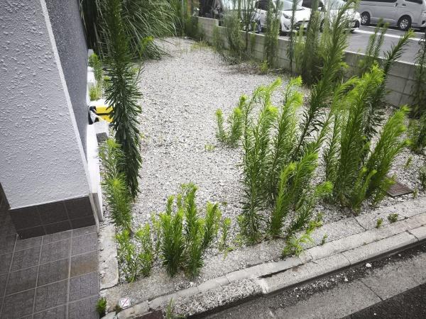 京都市下京区東中筋通六条上る天使突抜４丁目の土地