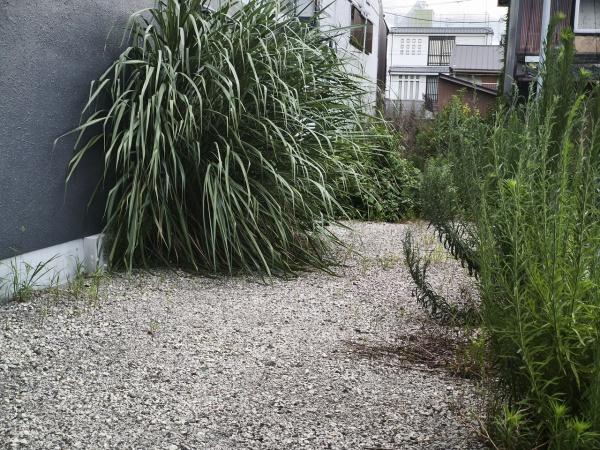 京都市下京区東中筋通六条上る天使突抜４丁目の土地