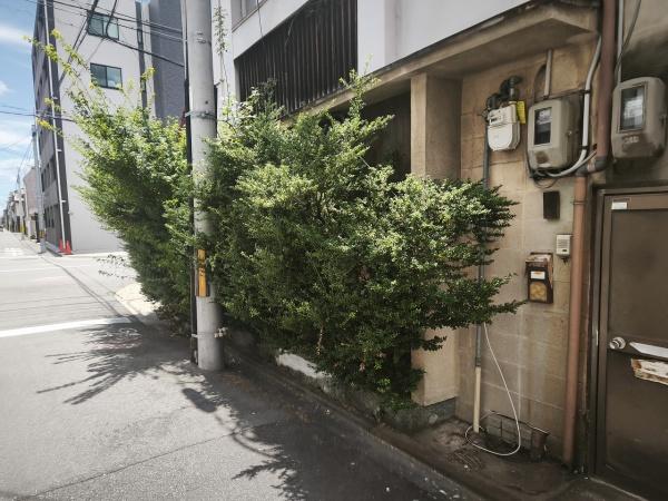 京都市右京区西院西平町の土地