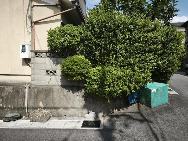 宇治市広野町桐生谷の土地