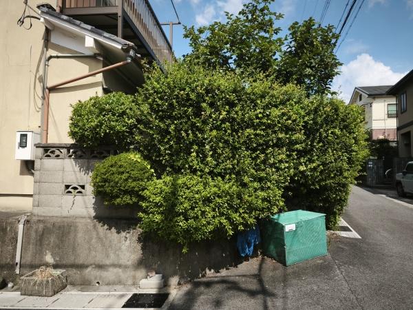 宇治市広野町桐生谷の土地