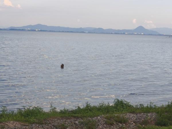大津市八屋戸の中古一戸建て