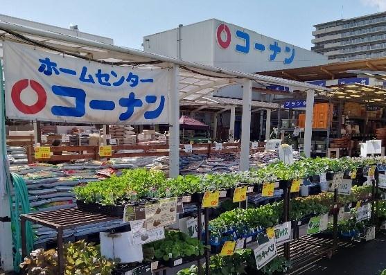 ネバーランド伏見桃山(ホームセンターコーナン伏見大手筋店)