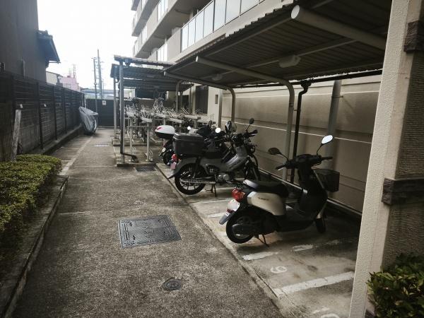 ネバーランド伏見桃山
