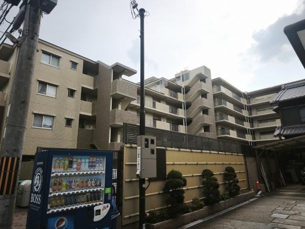 ネバーランド伏見桃山