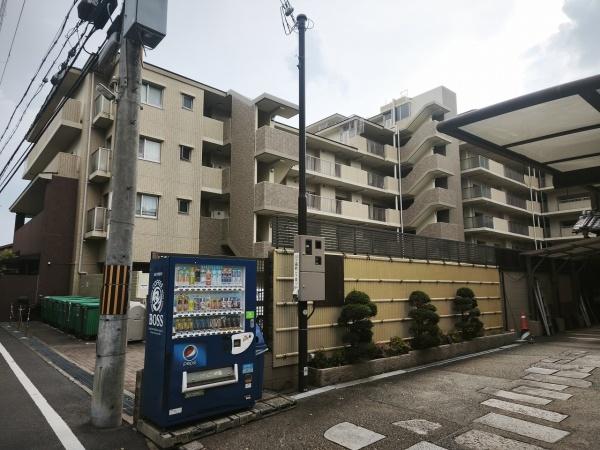 ネバーランド伏見桃山