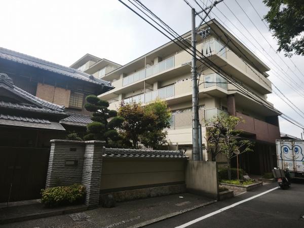 ネバーランド伏見桃山