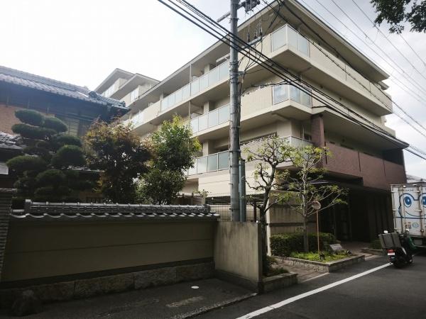 ネバーランド伏見桃山