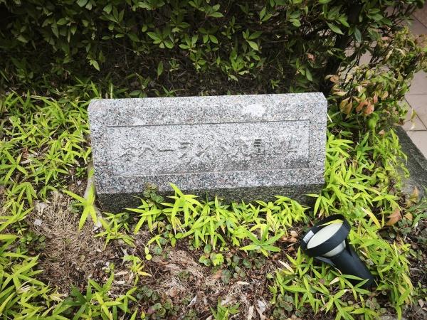 ネバーランド伏見桃山