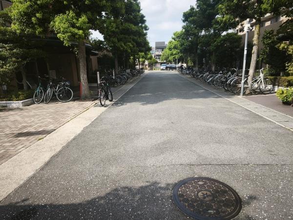 ディオ・フェルティ丹波橋右芳館